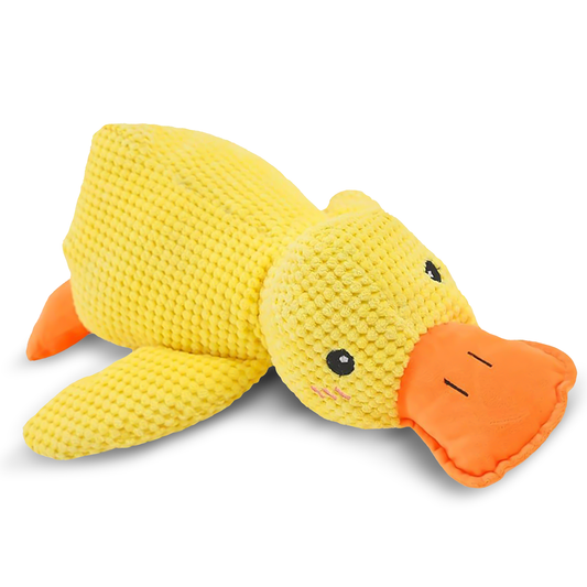 Durable Squeaky Duck Toy